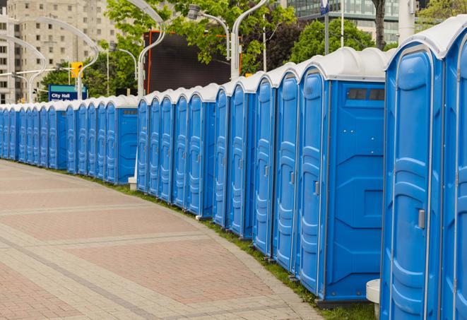 a row of portable restrooms ready for eventgoers in Boxborough